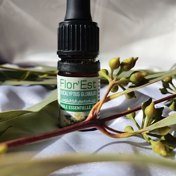 Huile essentielle d'eucalyptus زيت الكاليتوس الأساسي's image